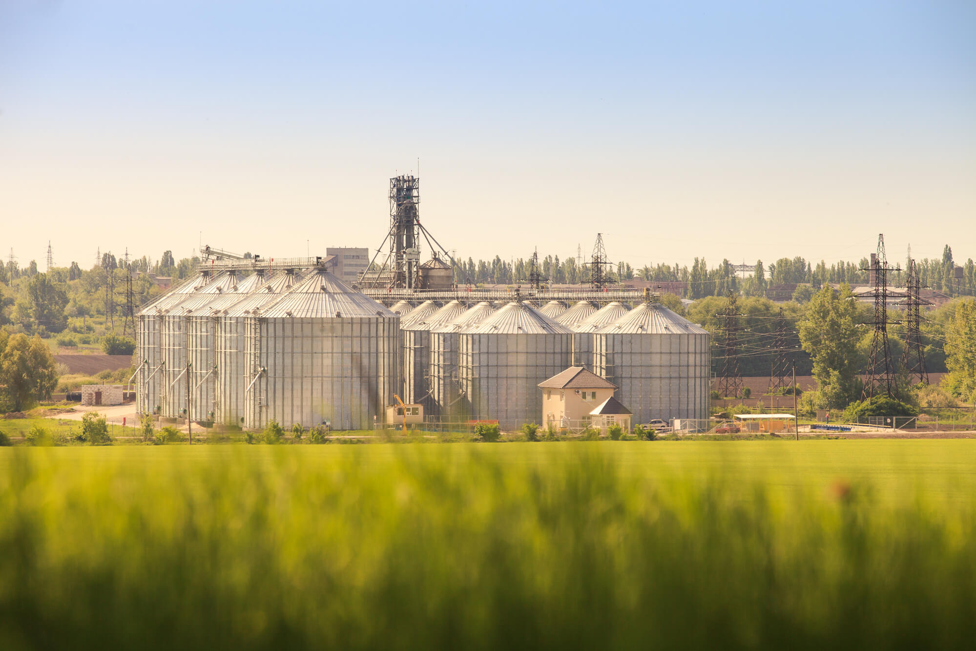 Agroholdings and Agricultural Science in Ukraine: Uneasy Bedfellows